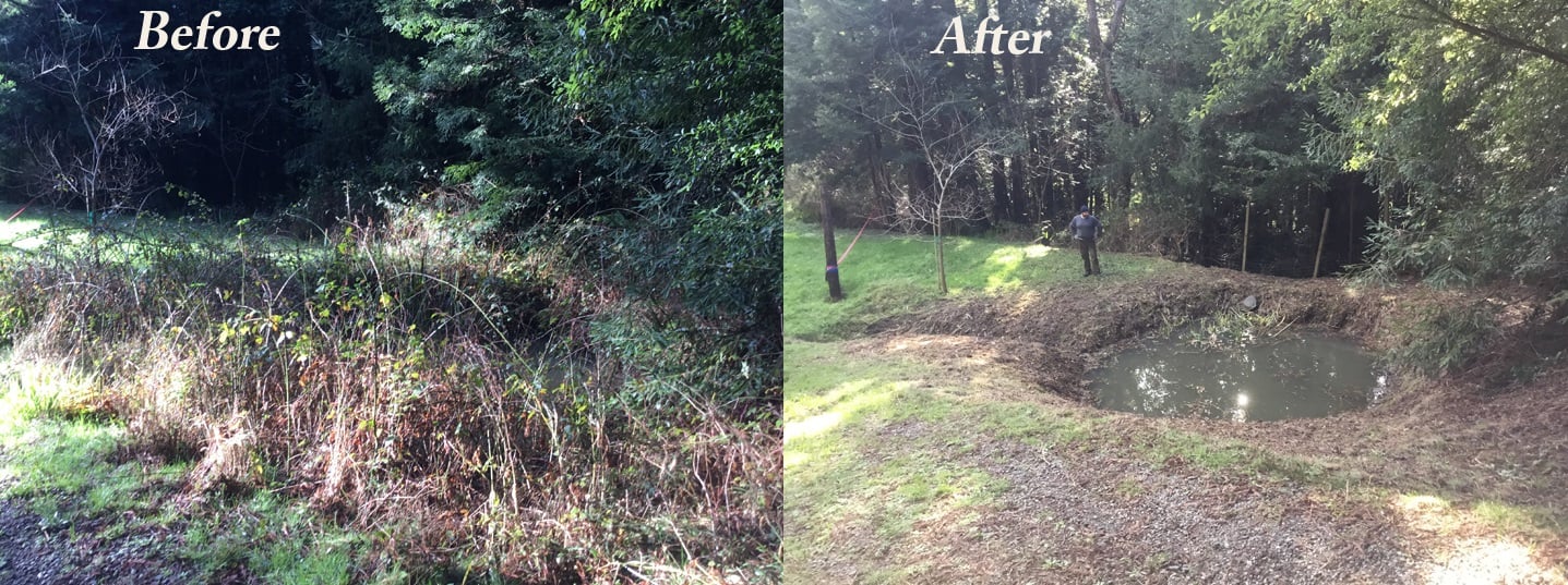 image humboldt eureka landscaping weed whacking brush clearing before-after pond