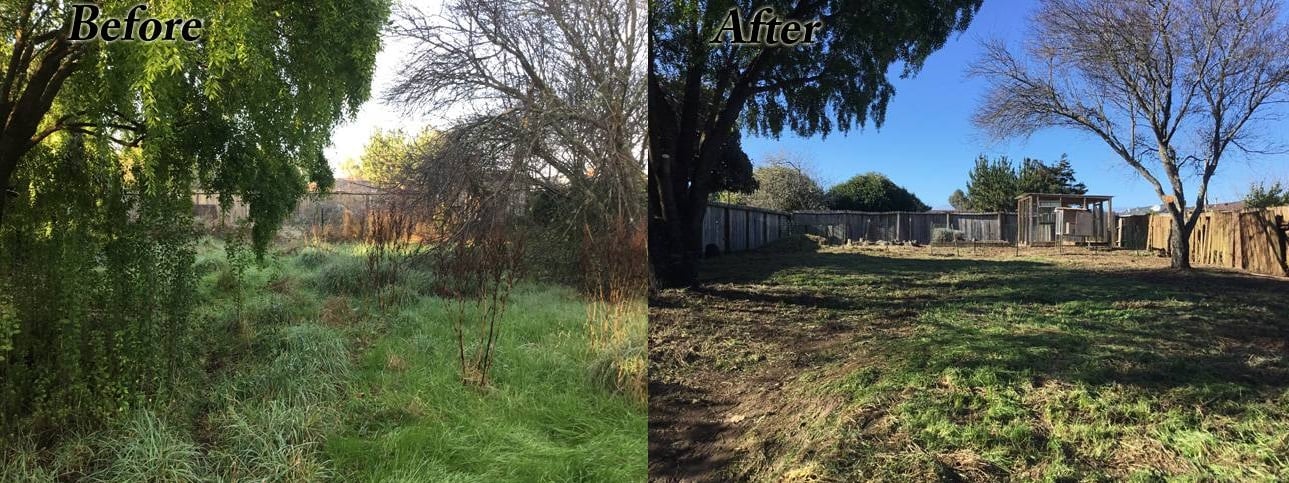 image humboldt eureka landscaping weed whacking brush clearing before-after yard
