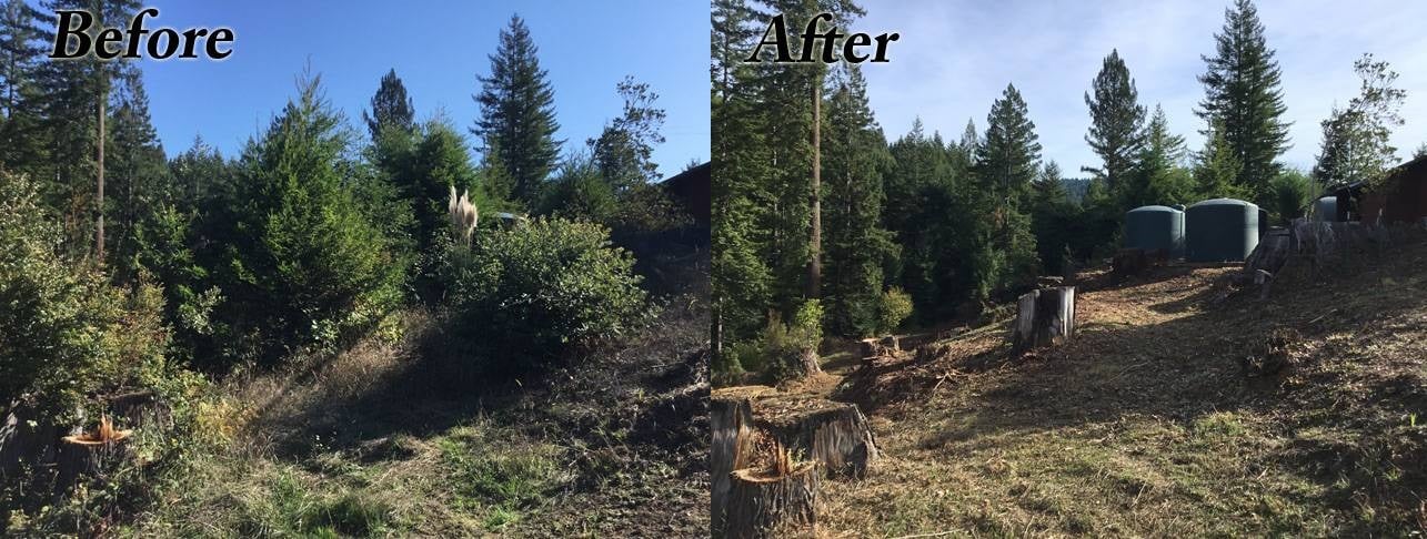 image humboldt eureka landscaping weed whacking brush clearing before-after slope