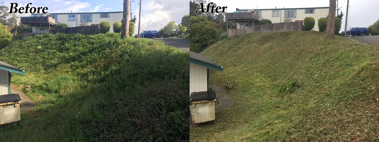 image humboldt eureka landscaping weed whacking brush clearing before-after slope