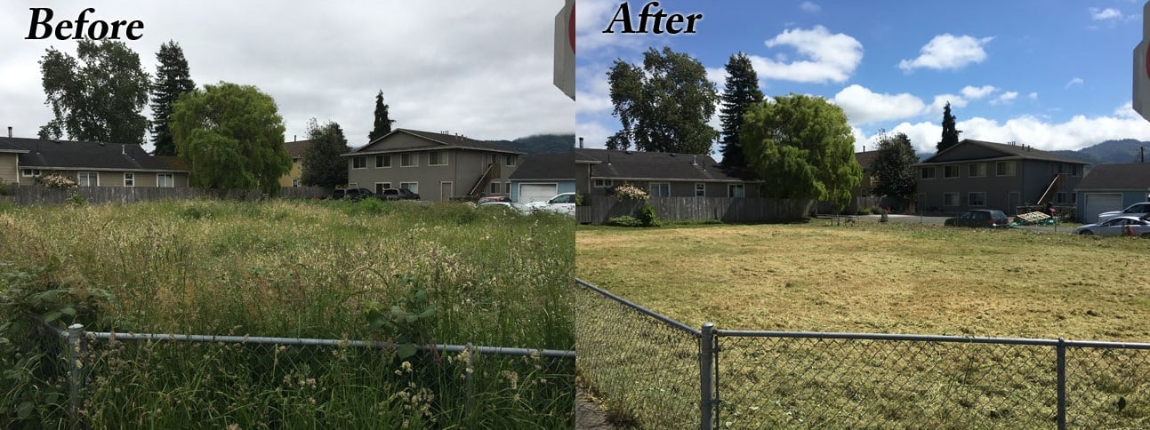 image humboldt eureka landscaping weed whacking brush clearing before-after empty lot