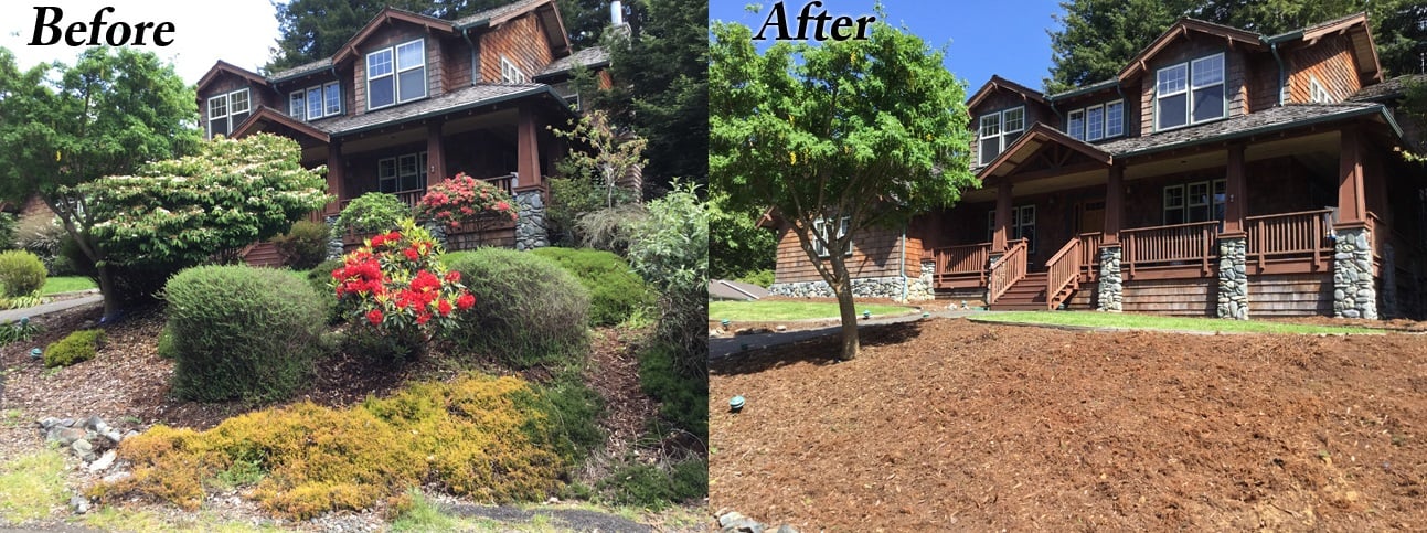 image humboldt eureka landscaping weed whacking brush clearing before-after front yard
