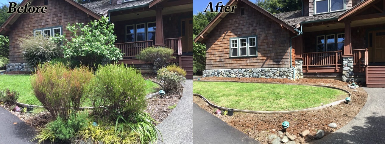image humboldt eureka landscaping weed whacking brush clearing before-after front yard