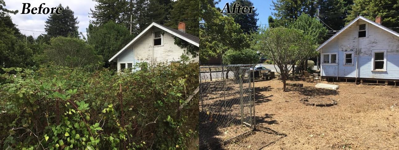 image humboldt eureka landscaping weed whacking brush clearing before-after back yard
