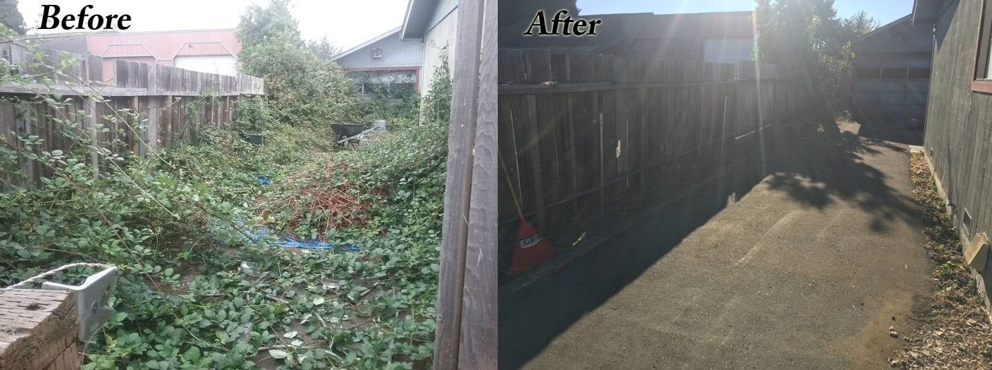 image humboldt eureka landscaping weed whacking brush clearing before-after driveway
